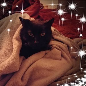 Meet your Posher, Denise